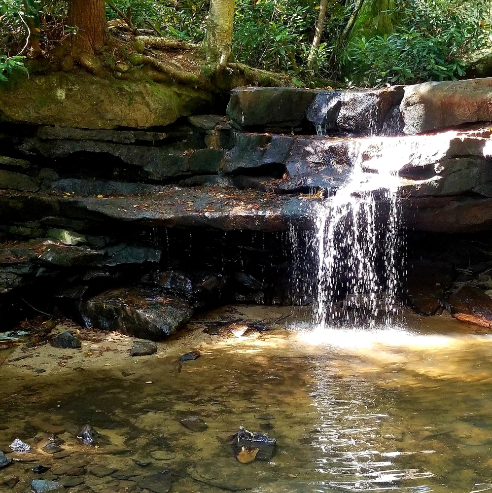 Meet your Posher, Evelyn